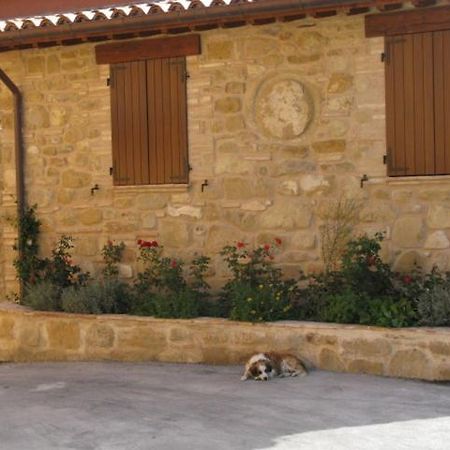 Pietra Maula Agriturismo Castelraimondo エクステリア 写真