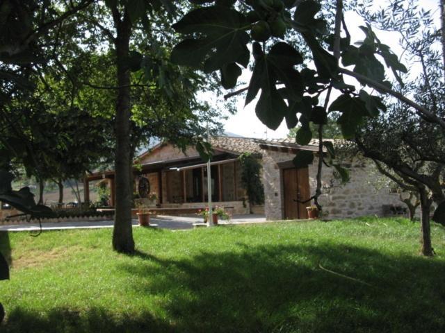 Pietra Maula Agriturismo Castelraimondo エクステリア 写真