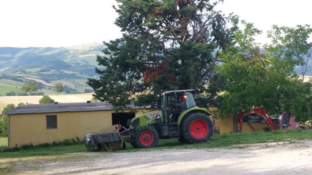 Pietra Maula Agriturismo Castelraimondo エクステリア 写真