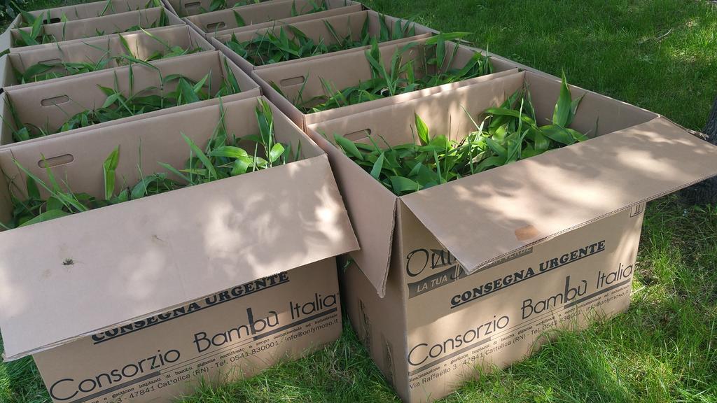 Pietra Maula Agriturismo Castelraimondo エクステリア 写真