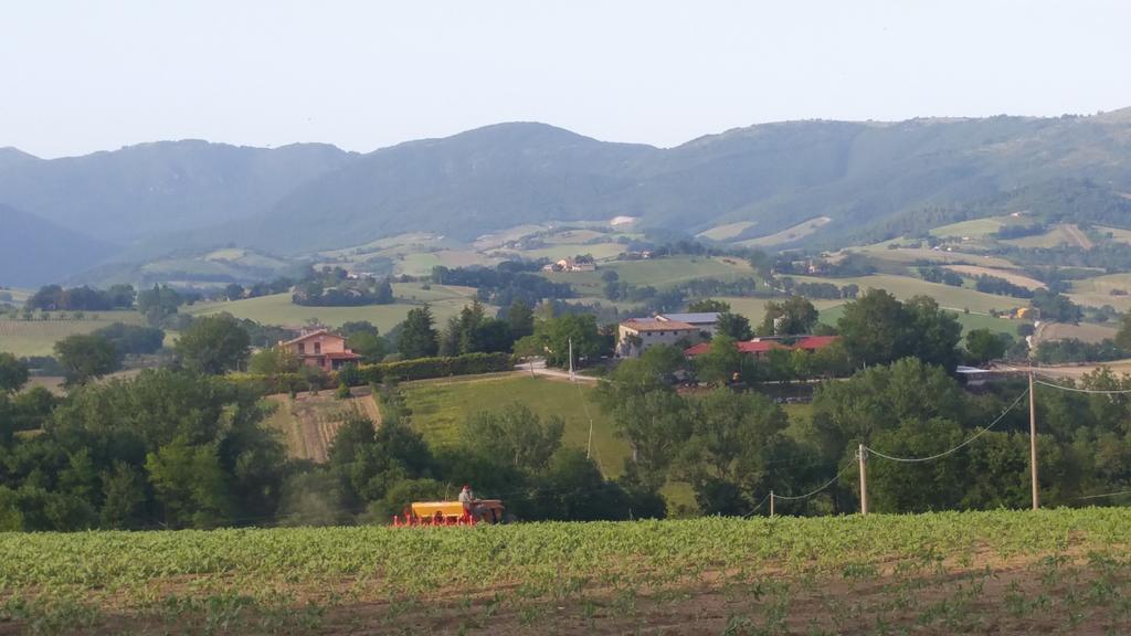 Pietra Maula Agriturismo Castelraimondo エクステリア 写真