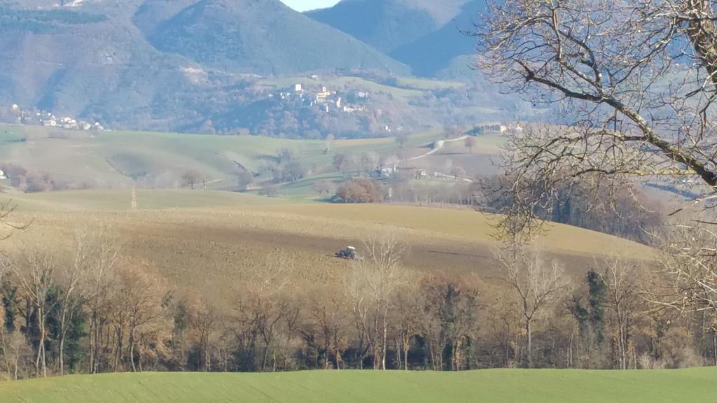 Pietra Maula Agriturismo Castelraimondo エクステリア 写真