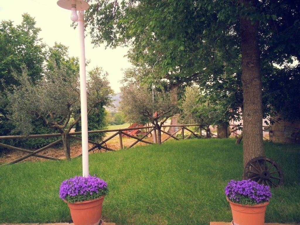 Pietra Maula Agriturismo Castelraimondo エクステリア 写真